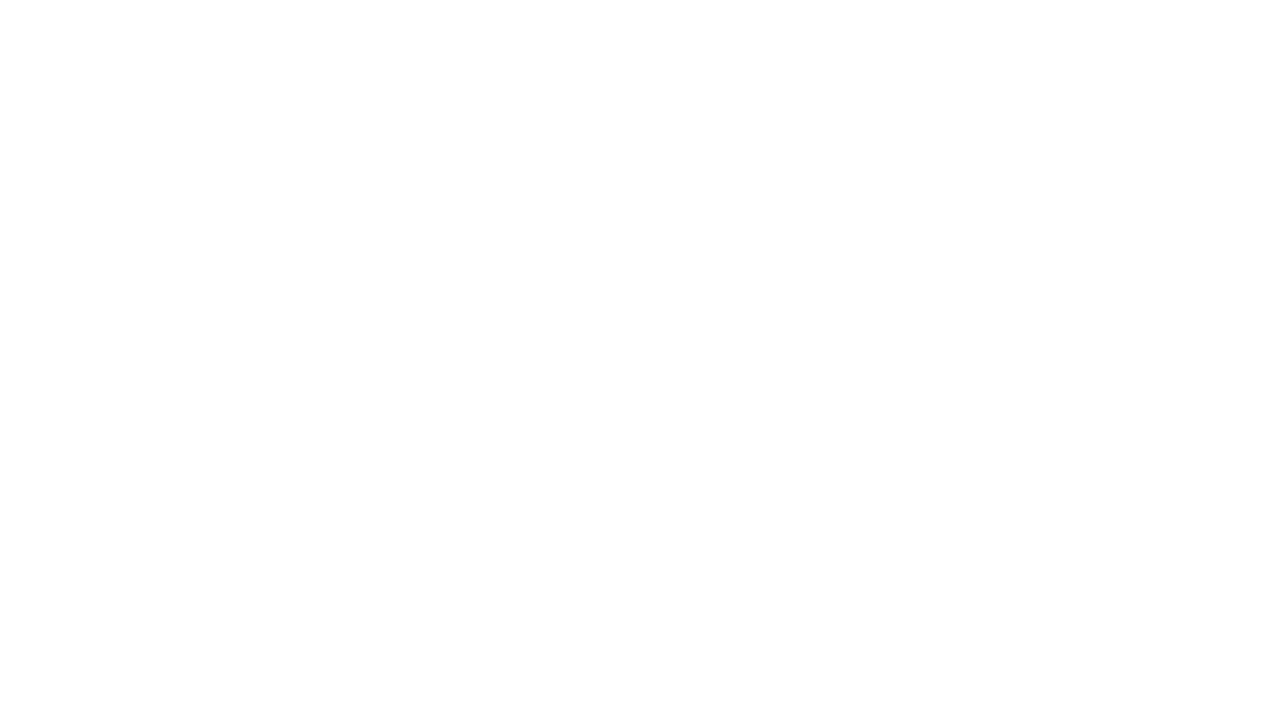 Houston Texans