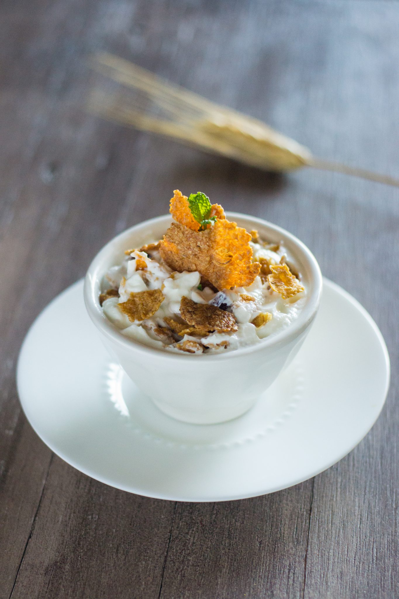 Yogurt Crunch-GF