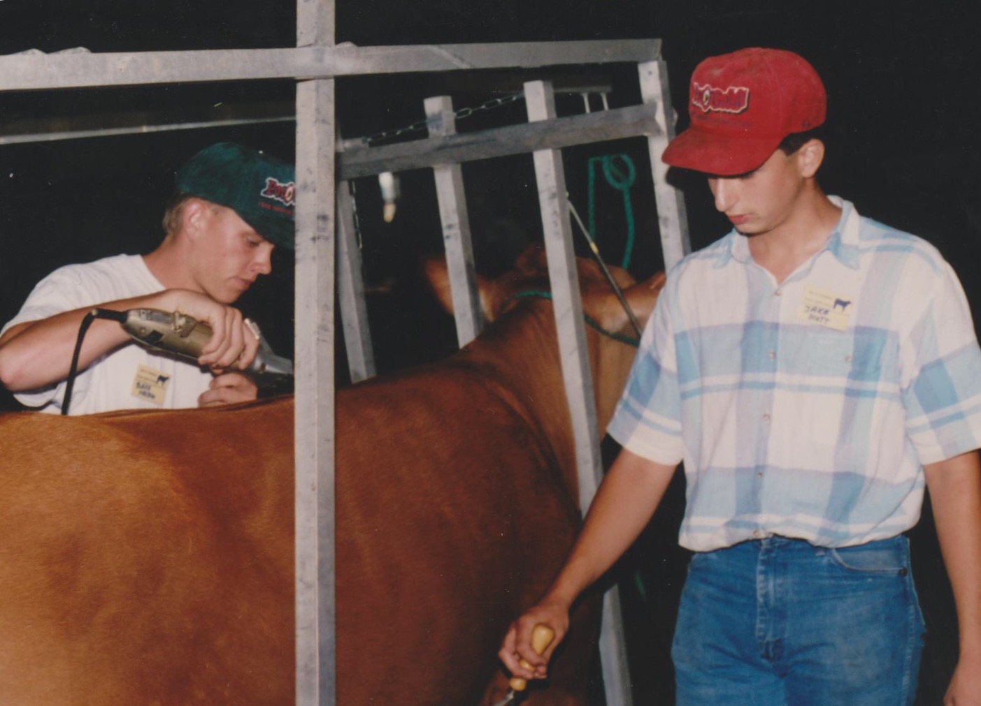 Two people and a bull