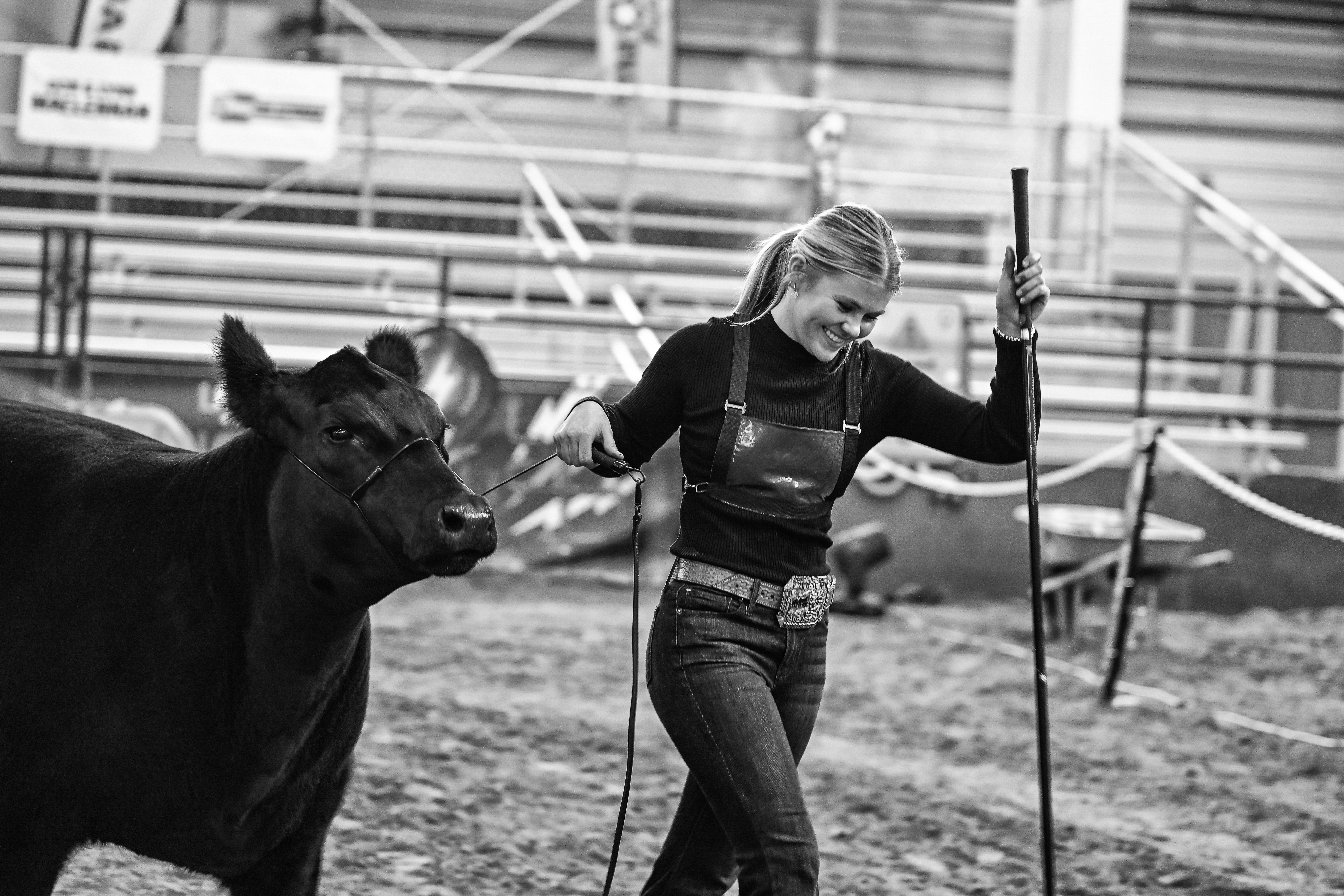 image of the blackout jackpot logo in white and purple