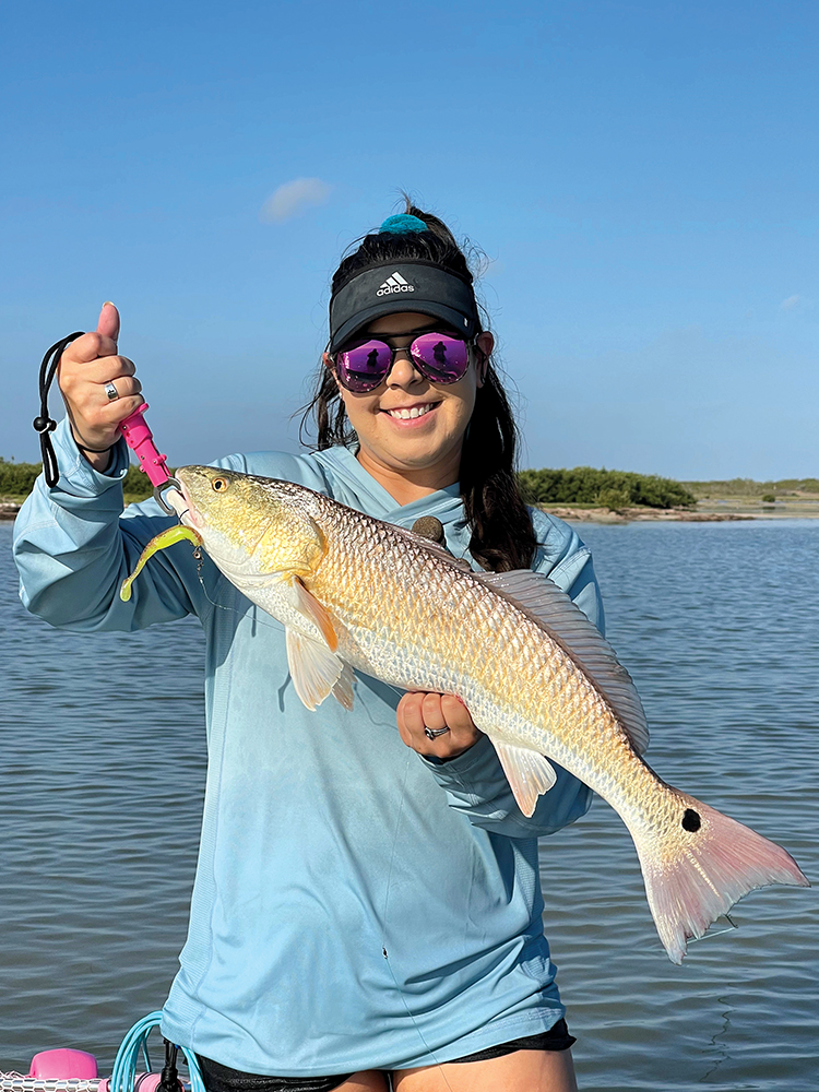 South Padre: January 2026