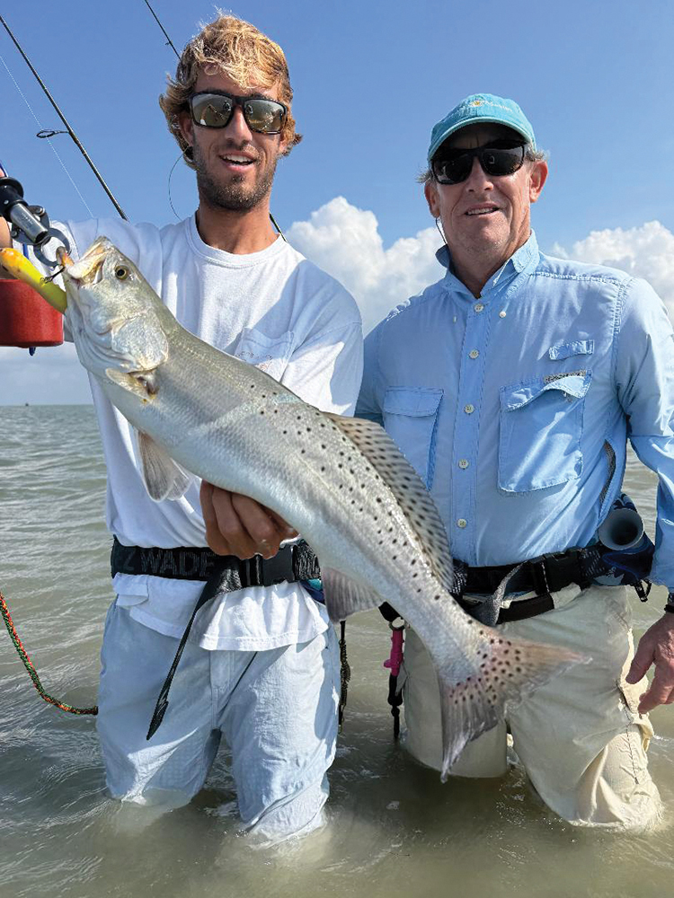 Mansfield Report: January 2026