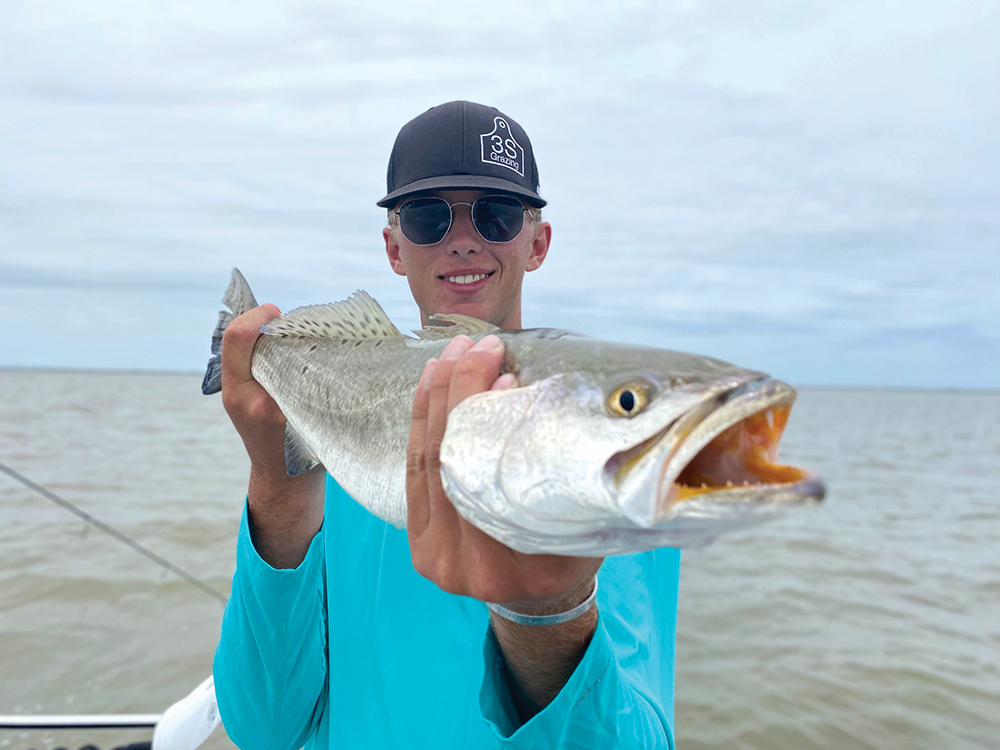 The View: January 2026