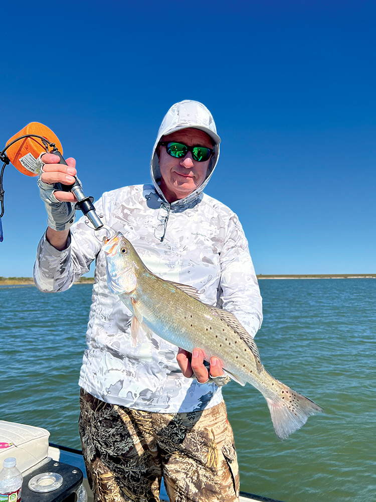 2025 In Review – Different But Overall Positive