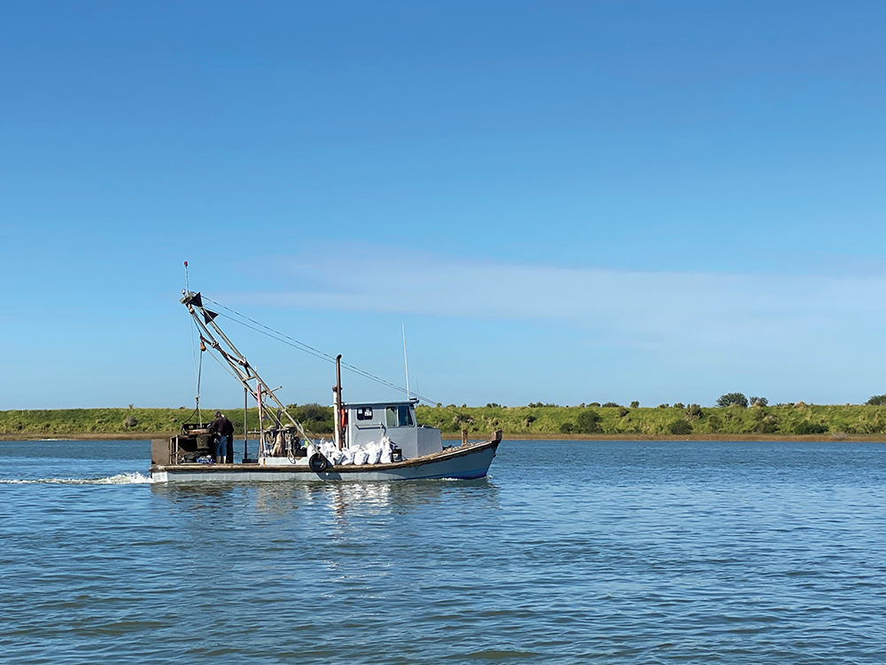 Restoring Wild Oyster Stock Through the S. Reed Oyster Buyback Program