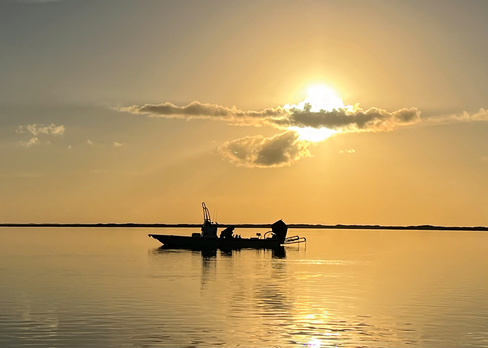 Announcing Texas Customs Jay Watkins Series Soft Plastics