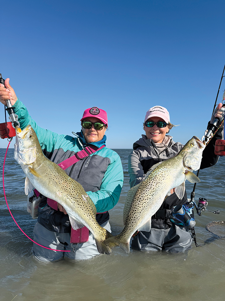 Mansfield Report: February 2026