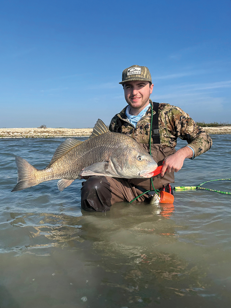 Mid-Coast Bays: February 2026