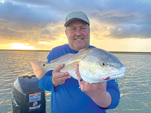 The View: February 2026