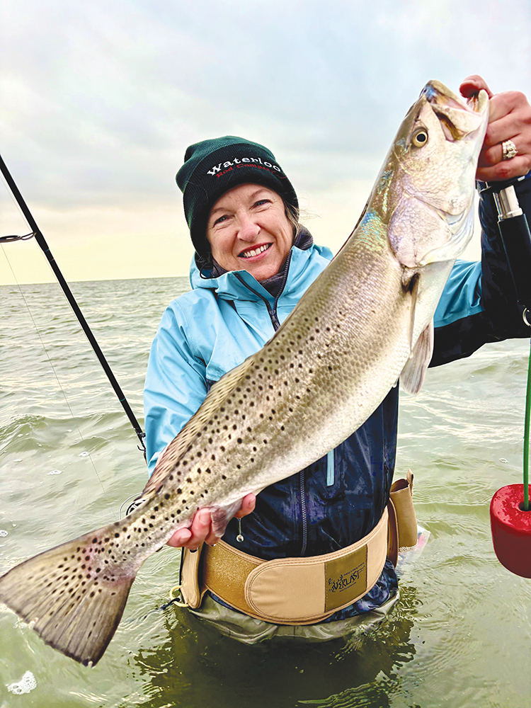 Hooked Up: February 2026