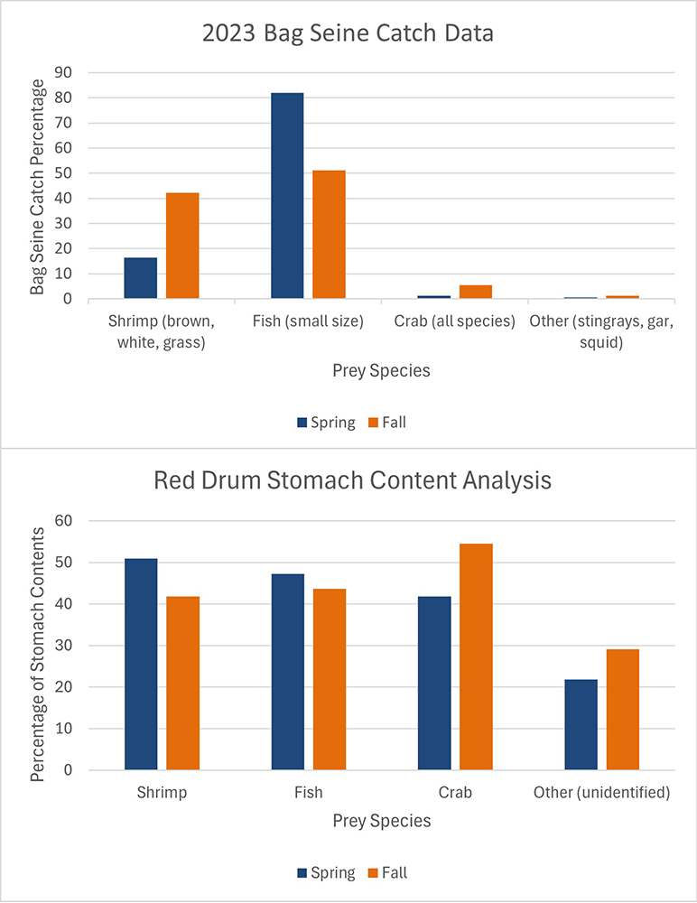 Match the Hatch: Seasonal Variation in Red Drum Diet