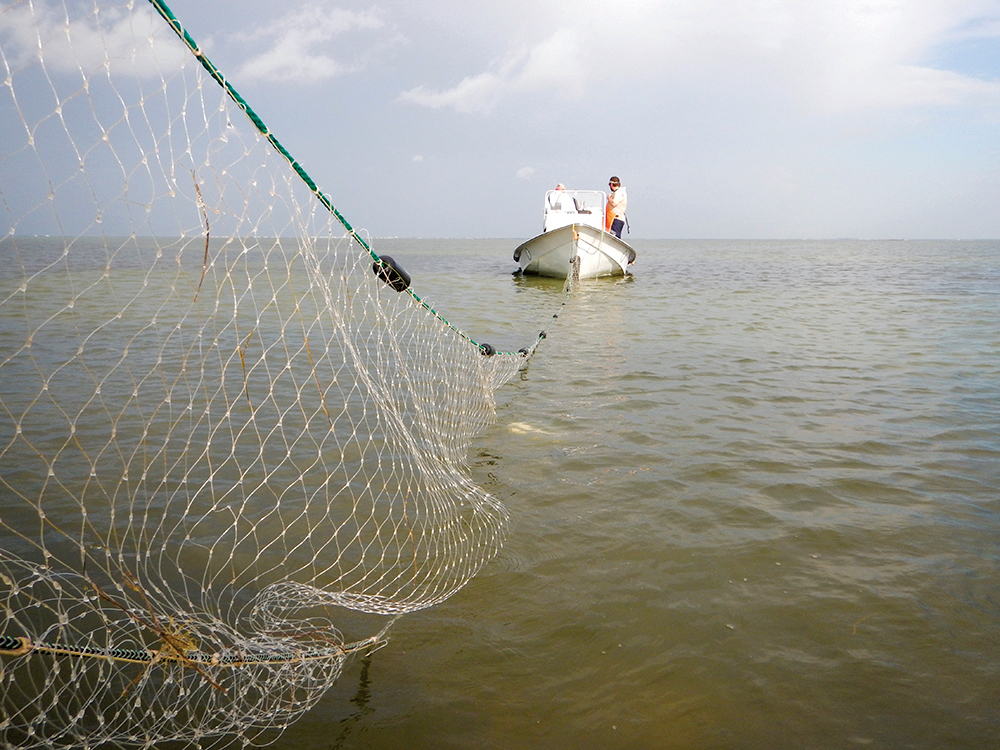 TPWD Science-Based Gill Net Program Remains On Hold