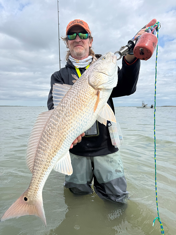 Mansfield Report: March 2026