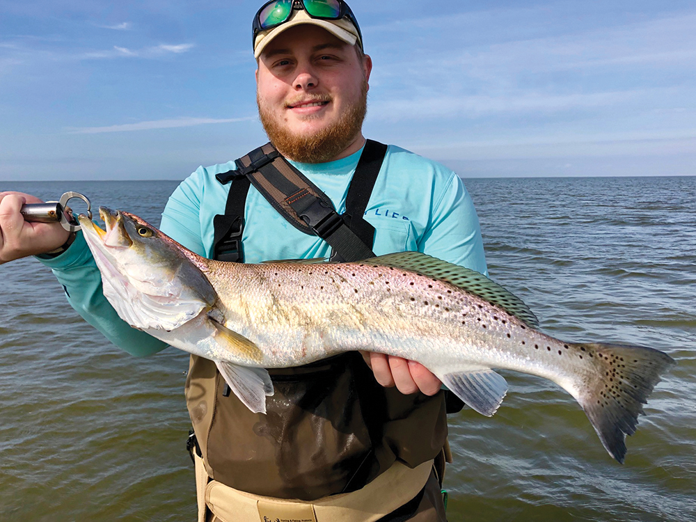 Acquiring Local Knowledge Without Hard Knocks