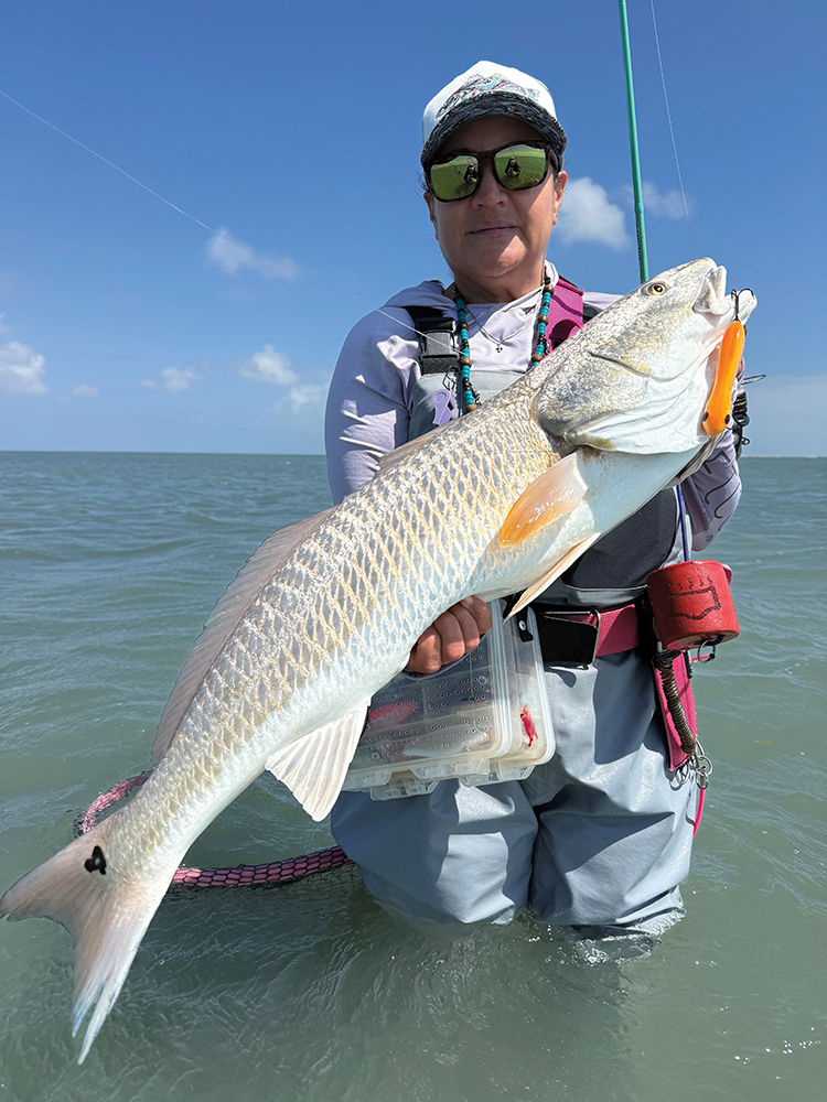 Mansfield Report: April 2026