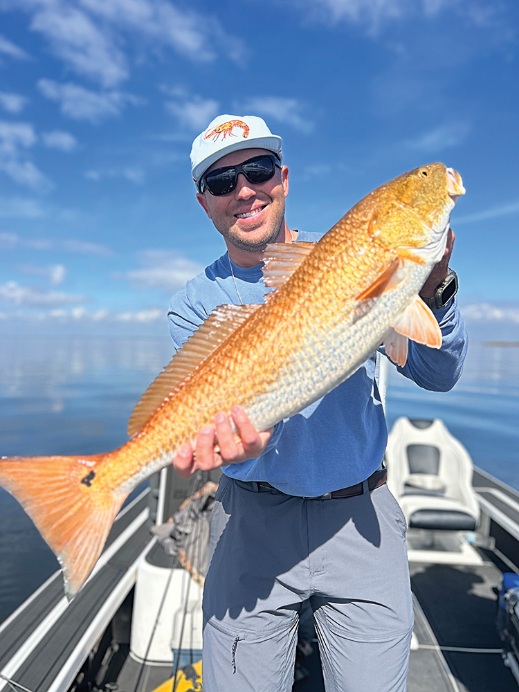 Going to the Next Level