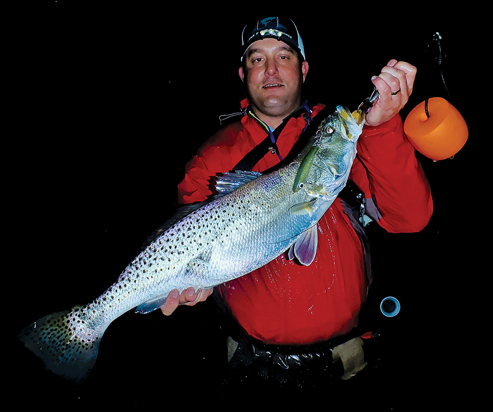 To See or Not To See