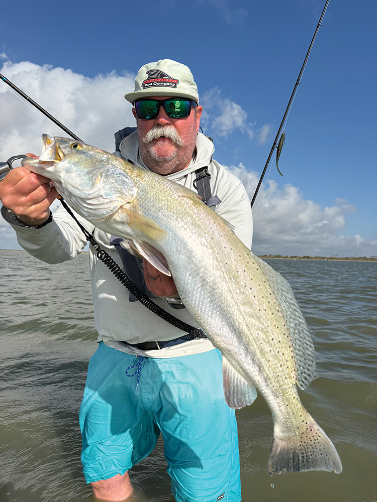 Mansfield Report: May 2026