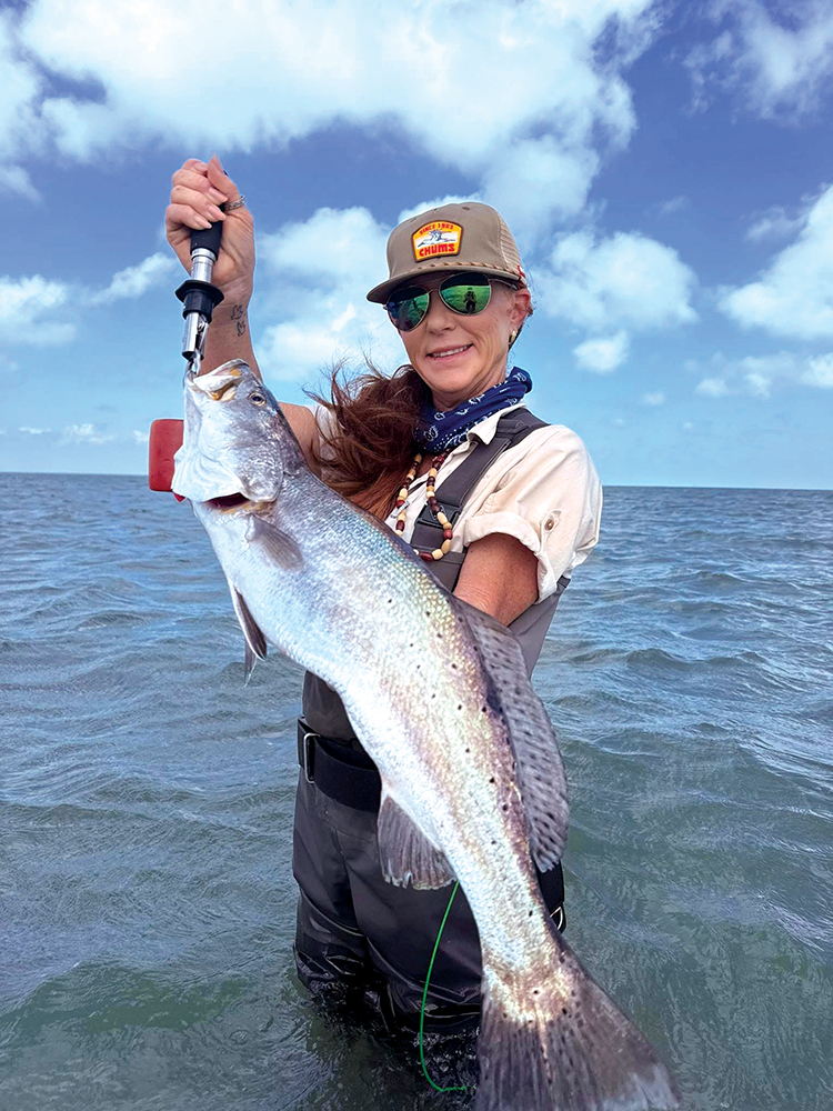 Mid-Coast Bays: May 2026