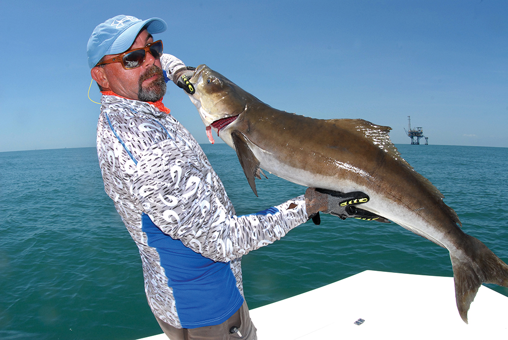 Watch for Tagged Ling and Tripletail
