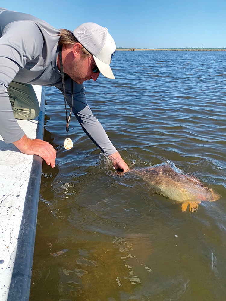 The Benefits of April Showers