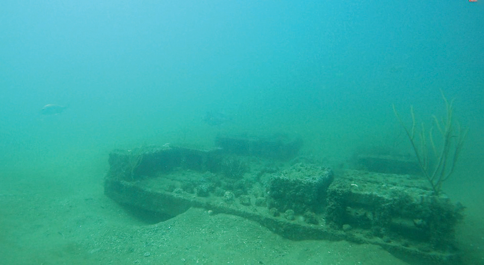 Artificial Reefs, Real Partnerships: How Collaboration Builds Life Beneath the Waves