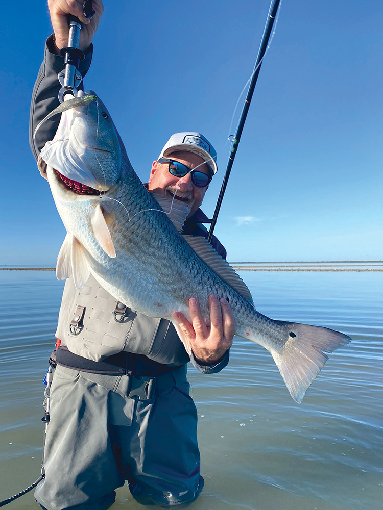 Getting the Most Out of Gut and Bar Structure