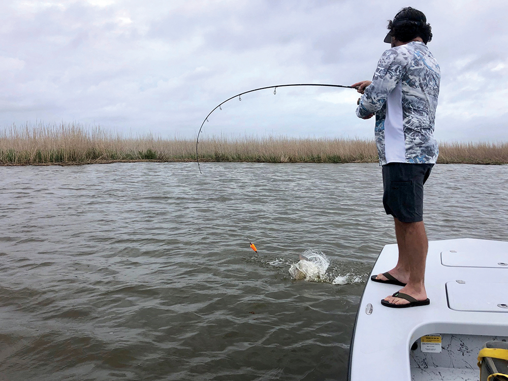 Non-Typical Approach to Sight-Fishing