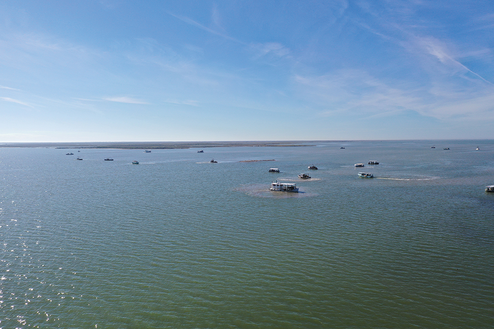 Nearly 30% of Texas Oyster Licenses Removed by Successful Buyback Program in a Historic Conservation Win for Texas Coast