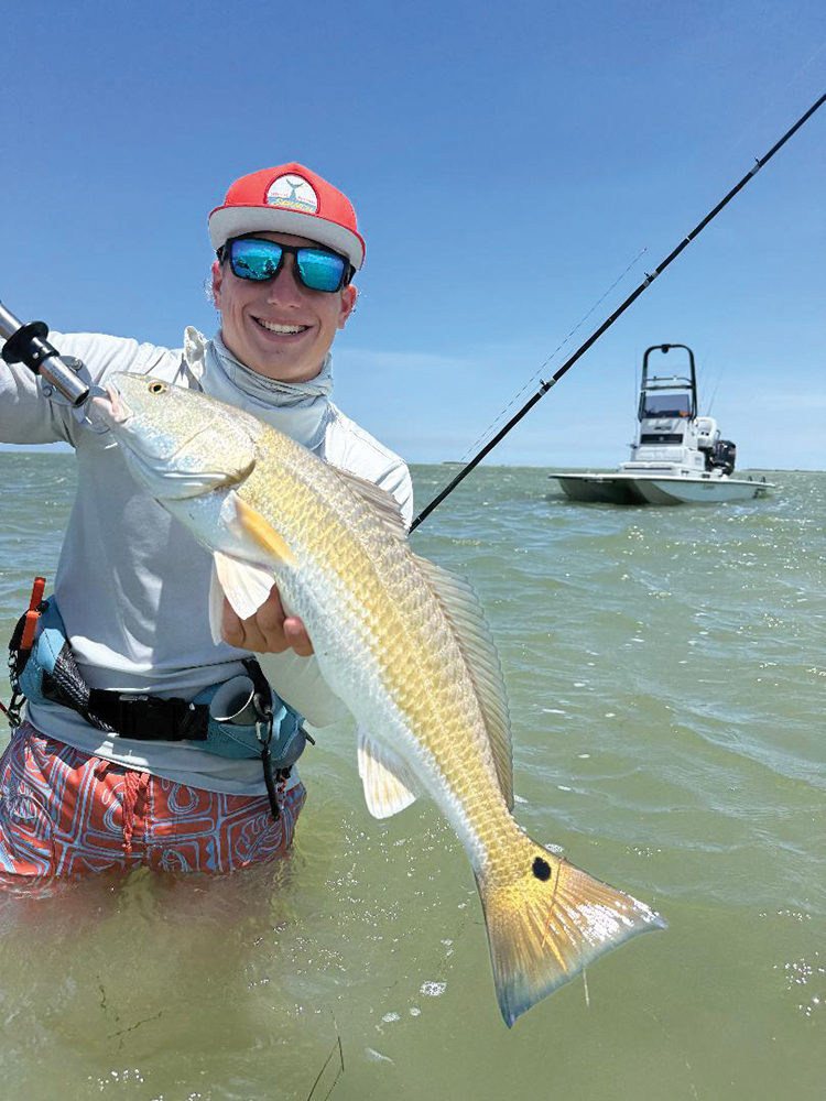 Mansfield Report: September 2025