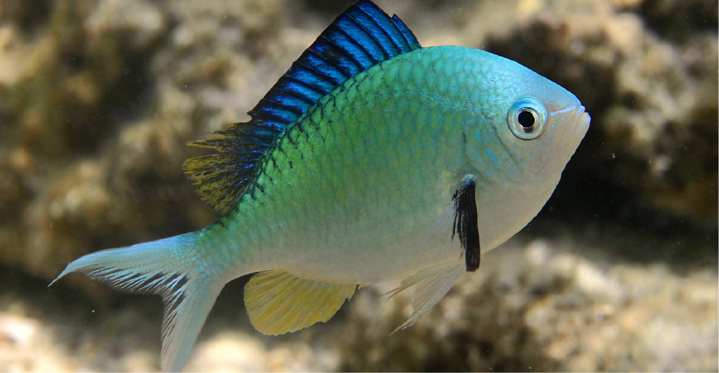 When Hanging Out Takes Work