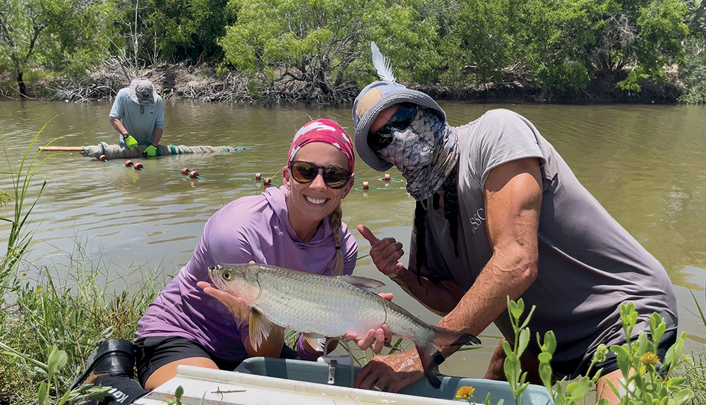 The Future of the Silver King