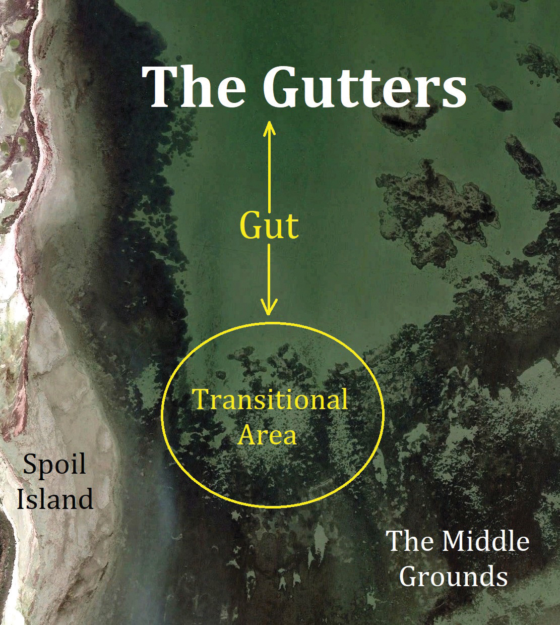 Getting the Good out of the Gutters