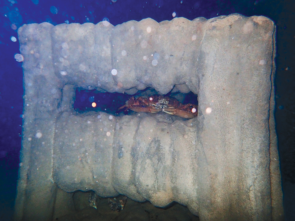 CCA Texas Funds $1.2 Million for Conservation Efforts