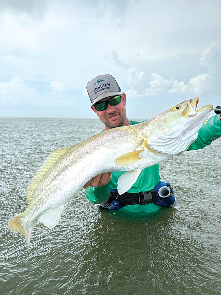 Mansfield Report: October 2025