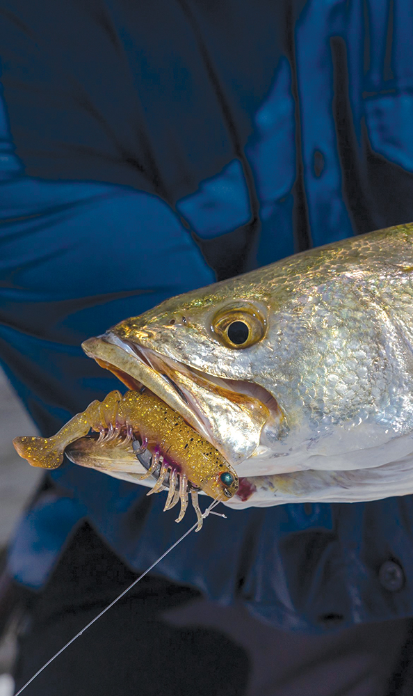 What’s the difference?