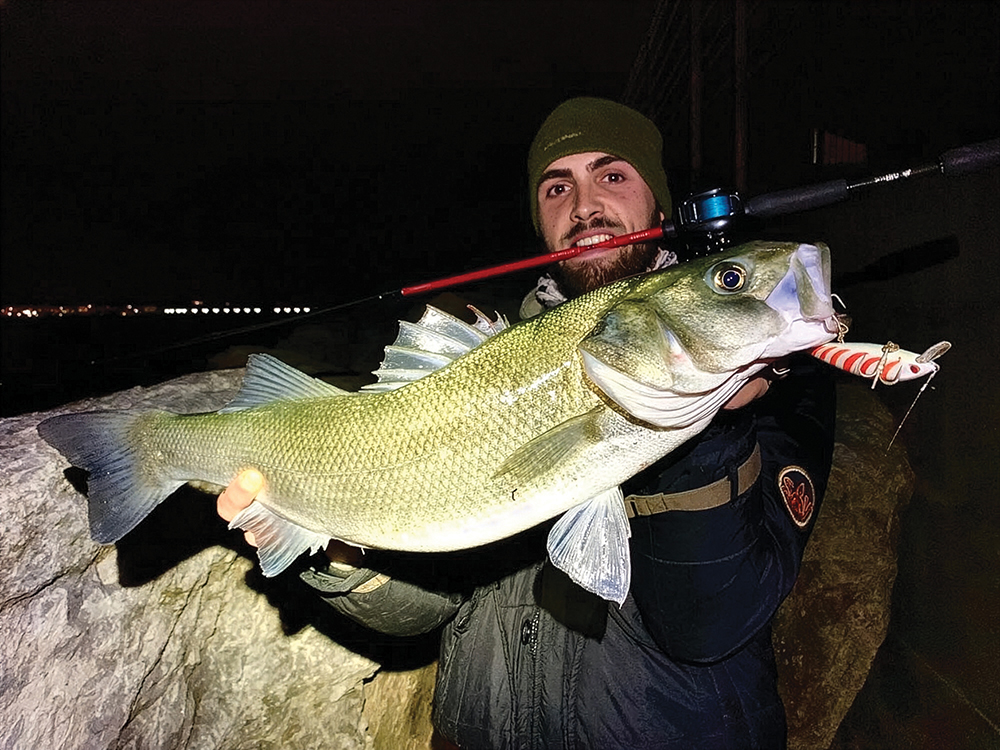 Fishing Pressure and the Centuries