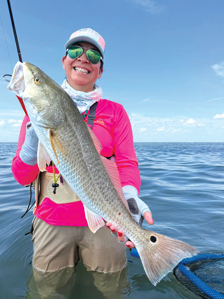 Mansfield Report: November 2025