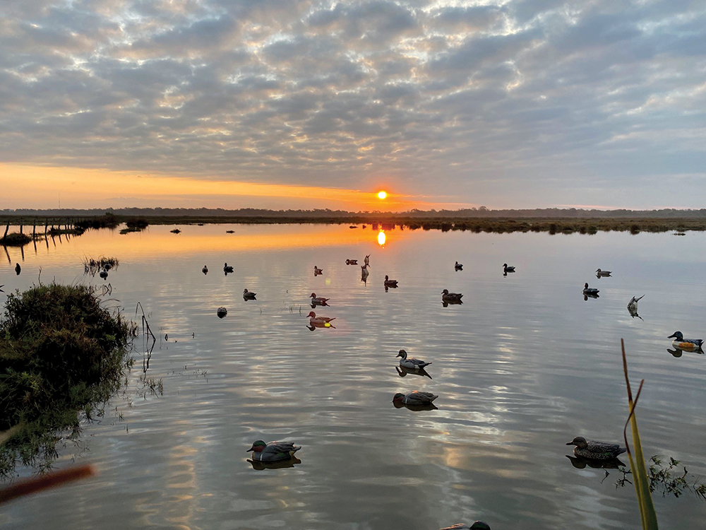 The View: November 2025