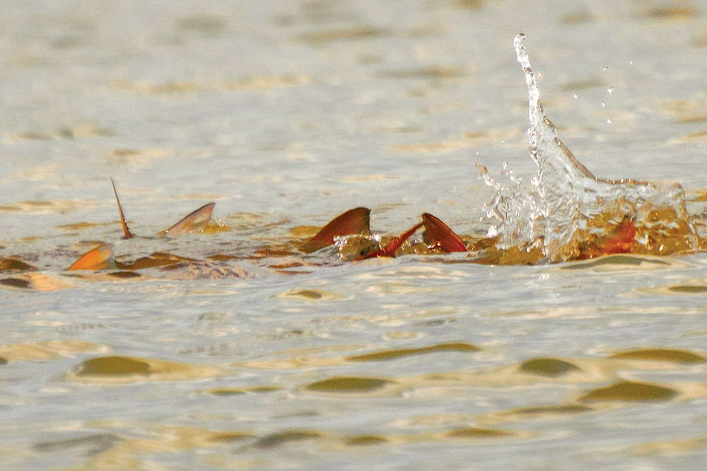 Hooked Up and Hands Full