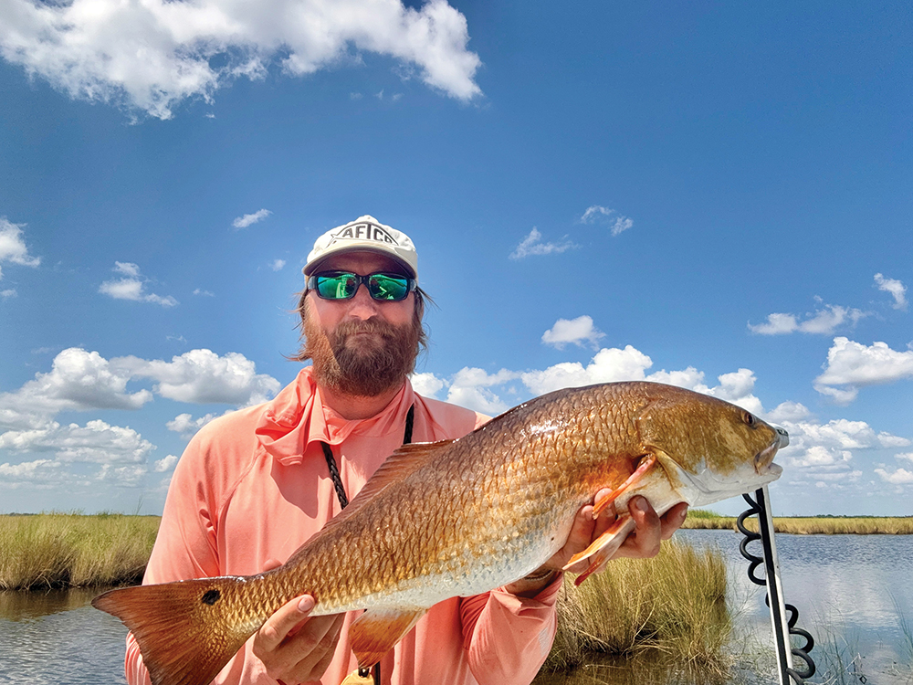 Take Advantage of Fall