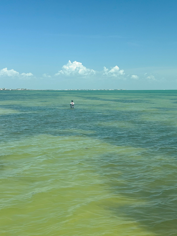 Clear Water (and Not So Clear) Fishing Strategies