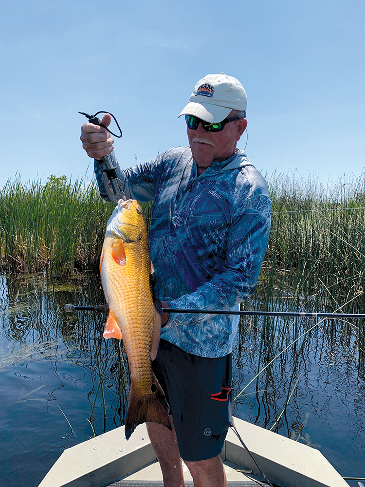 The Redfish Chronicles: Handle your Fish with Care