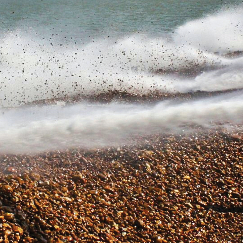 CCA Texas 2025 Habitat and Project Funding Recap