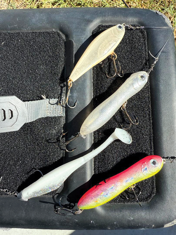 Mansfield Report: December 2025