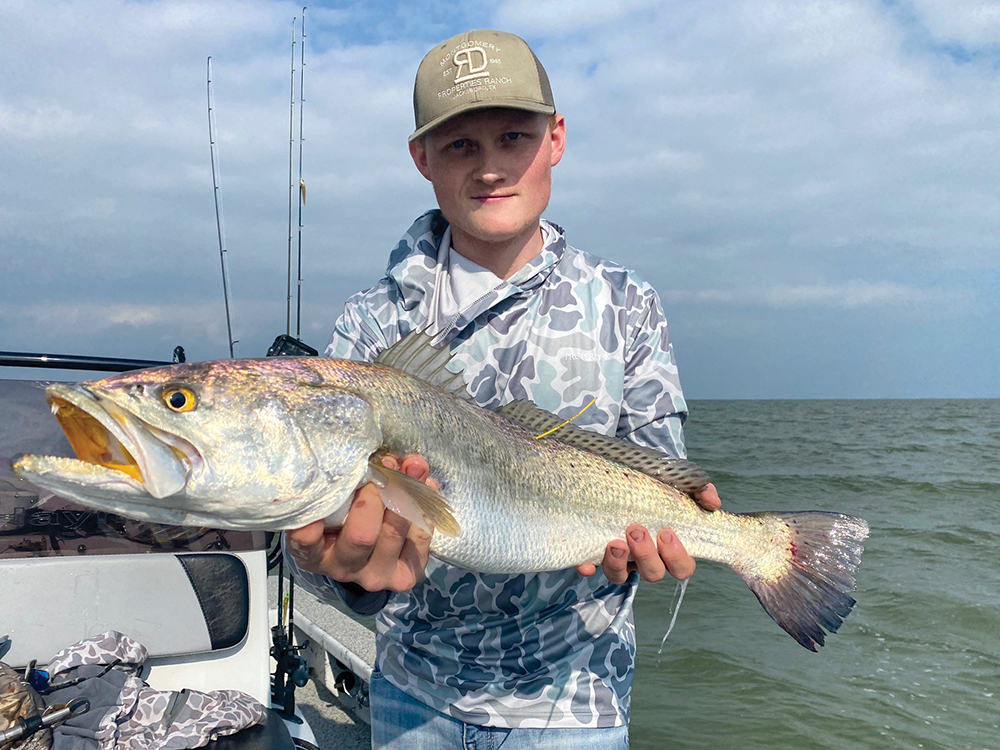 The View: December 2025