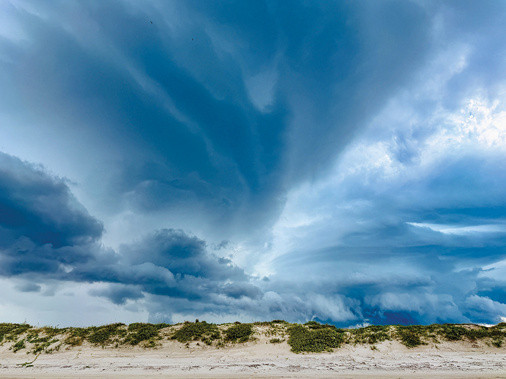 Oz's Christmas Wish List