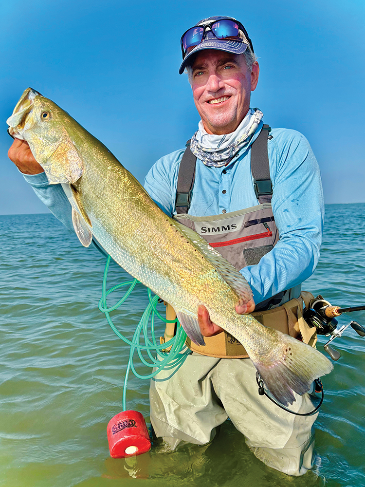 Hooked Up: December 2025