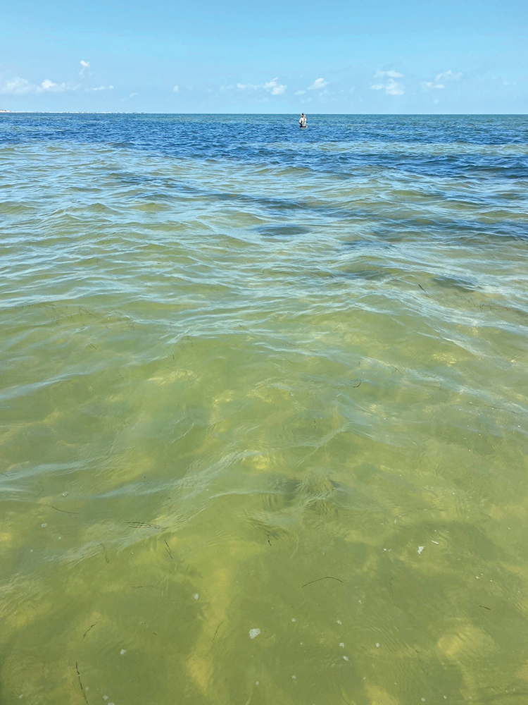 New Tricks for Old Dogs