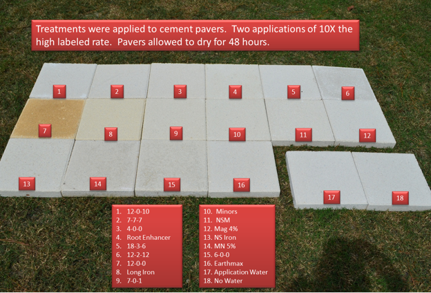 Cement pavers showing stains from 16 liquid fertilizers.